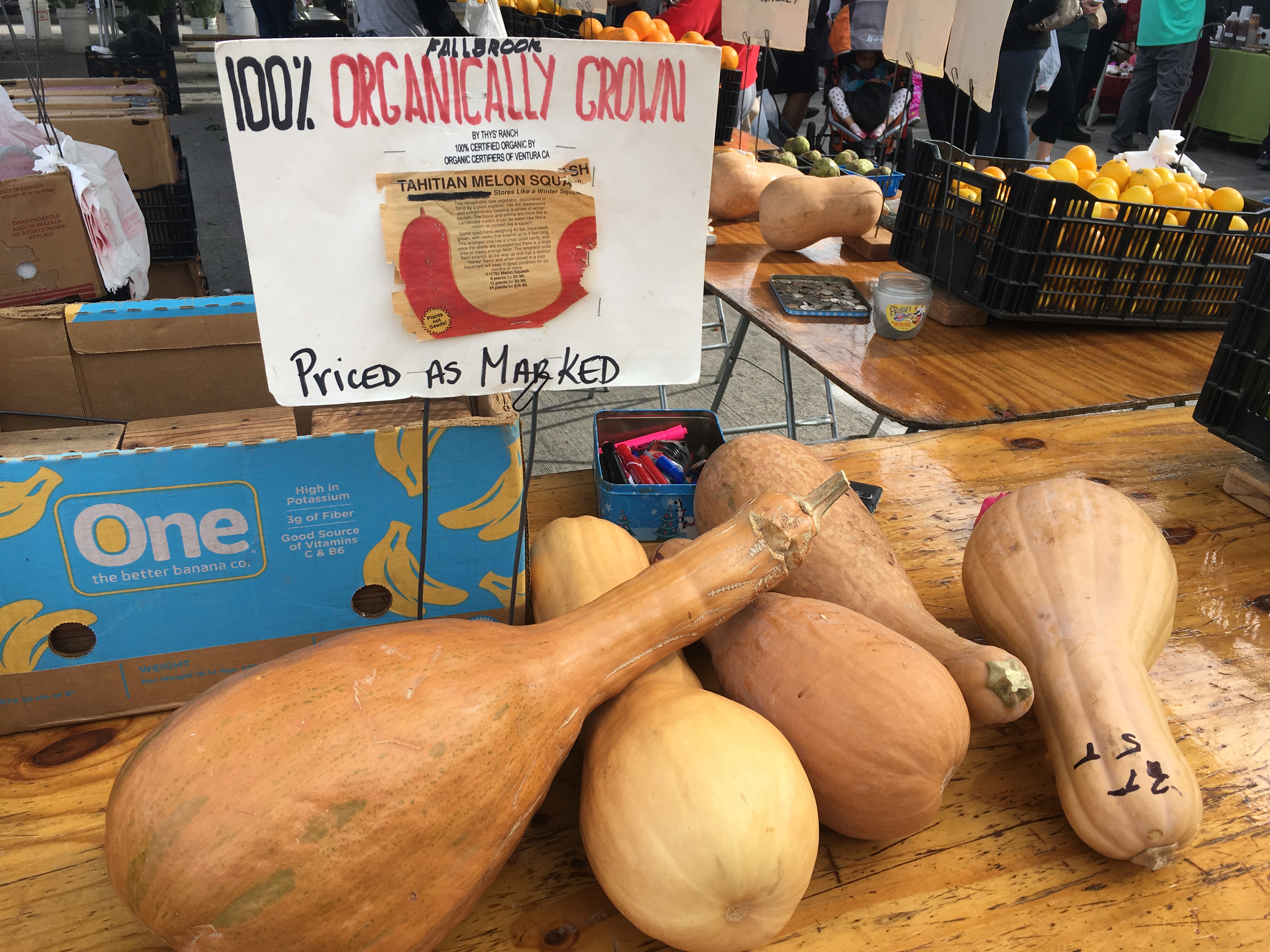 1.6.18 TAHITIAN SQUASH