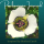 I’m just mad about saffron… – PachaMama Inspired Avatar